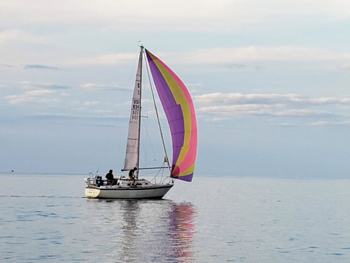 Tuesday night racing 19